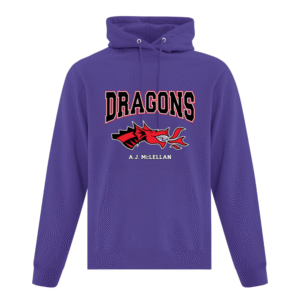 Team Wear: Pullover Hoodie